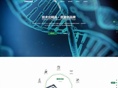 盖州化工化学企业网站建设-案例