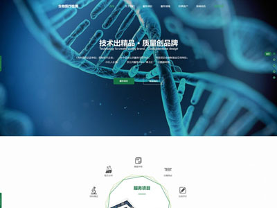 盖州化工化学企业网站制作建设定制-案例